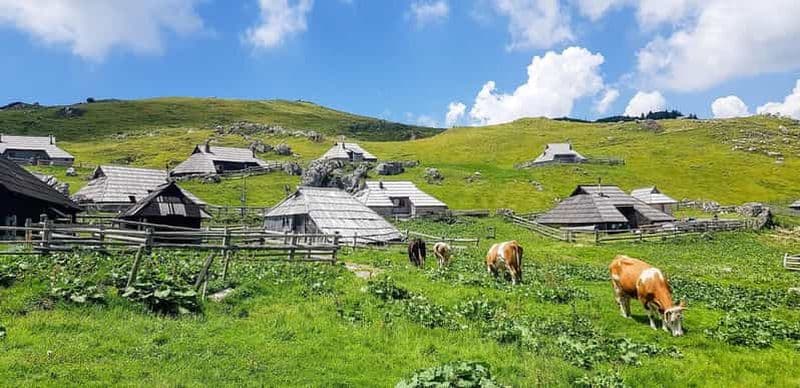Billet Au départ de Ljubljana : randonnée guidée à Velika Planina