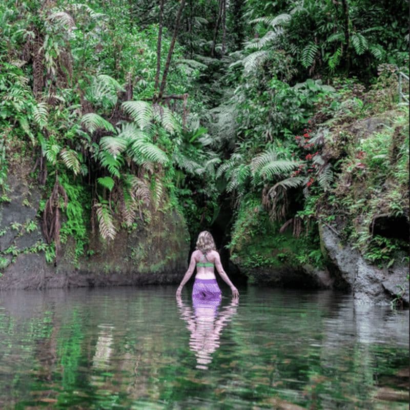 Expérience de chasse aux cascades et de plongée en apnée à la Dominique