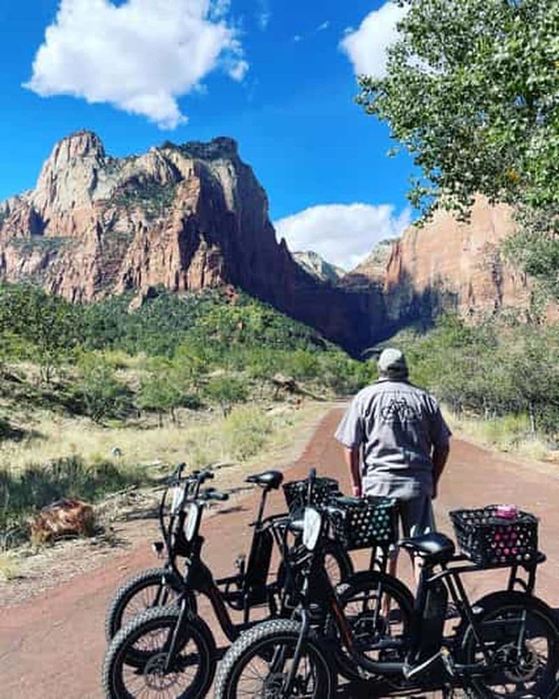 Billet Springdale : Visite guidée en vélo électrique dans le parc national de Zion
