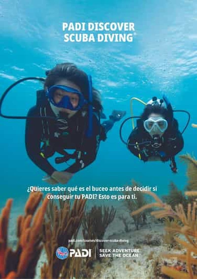 Lanzarote, votre première expérience de plongée sous-marine