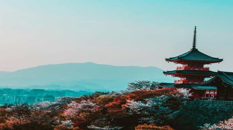 Billet Osaka : visite à pied des incontournables et des joyaux cachés