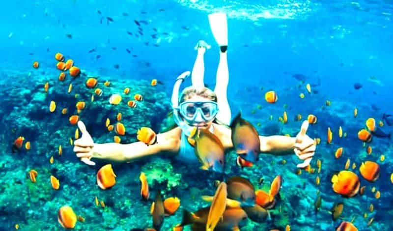 Hoi An : aventure de plongée avec tuba sur l'île de Cham et déjeuner de fruits de mer