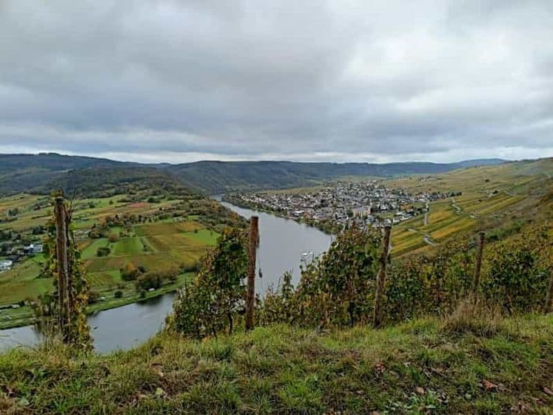 Billet Kröv, Moselle : CONDUITE EN CHARIOTS PLANIFIÉS à travers les vignobles avec dégustation de vin