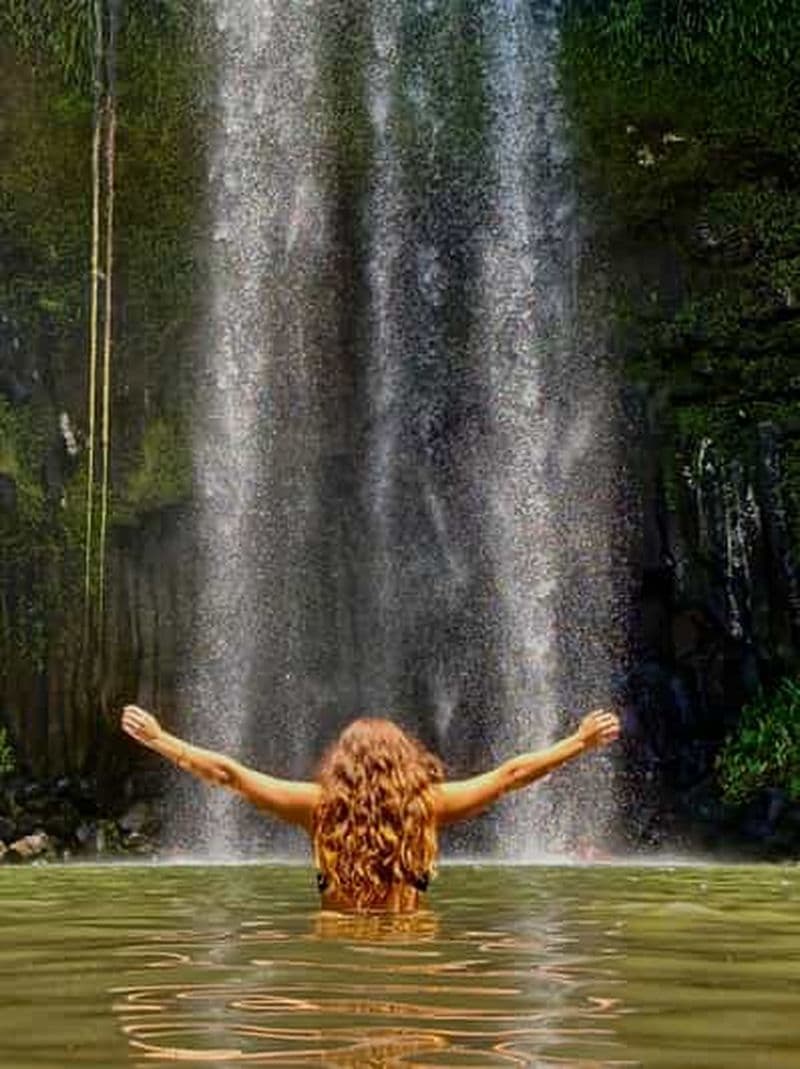 Billet Depuis Cairns : excursion aux cascades avec déjeuner