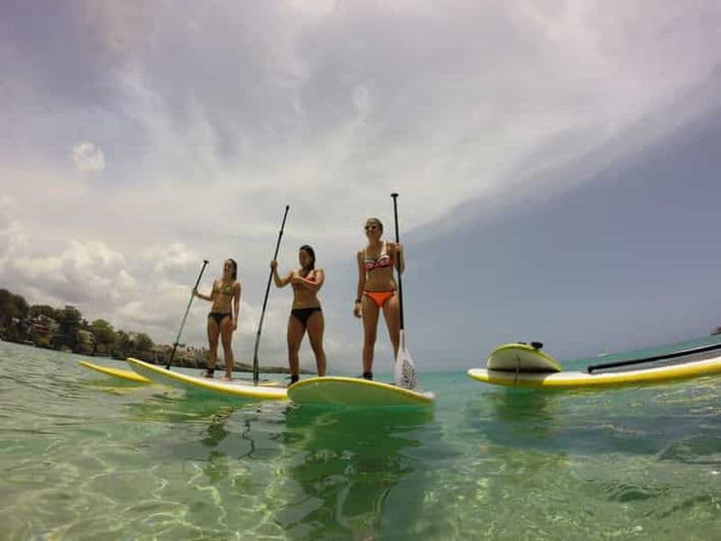Sosua 2 heures de Stand Up Paddle Boarding