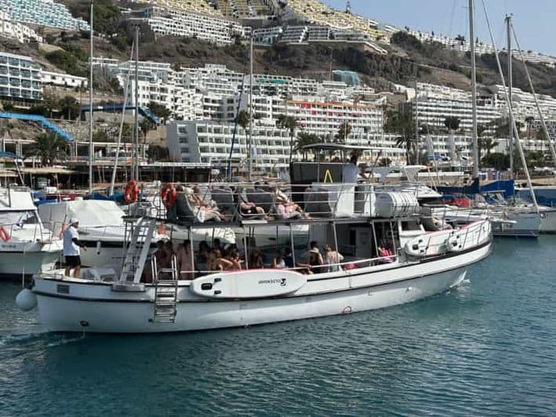 Billet Puerto Rico, Grande Canarie : excursion en bateau, boissons, repas, paddle surf, plongée avec tuba.