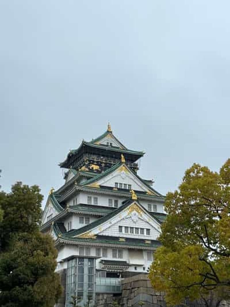 Billet (billet inclus) Explorez le château d'Osaka et le musée d'histoire