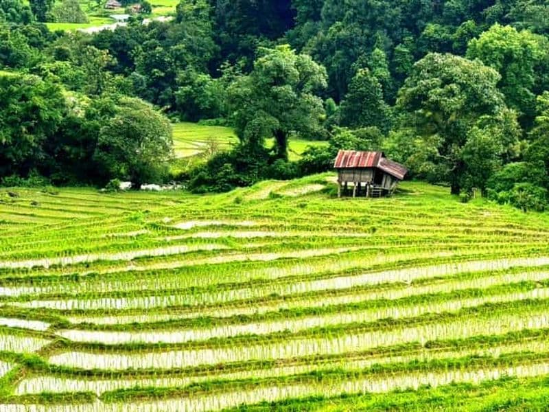 Chiang Mai : Excursion à Doi Inthanon avec randonnée guidée à Pha Dok Siew