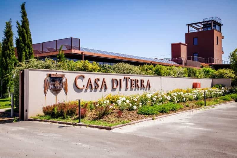 Bolgheri : visite guidée de la cave et dégustation de nos vins