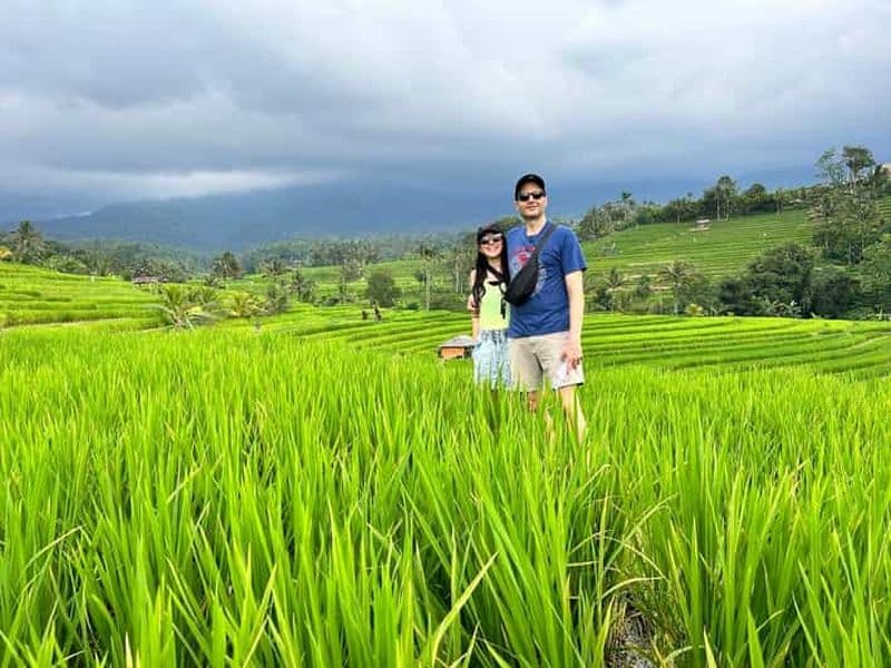 Bali : visite à pied des rizières en terrasses de Jatiluwih et Tanah Lot