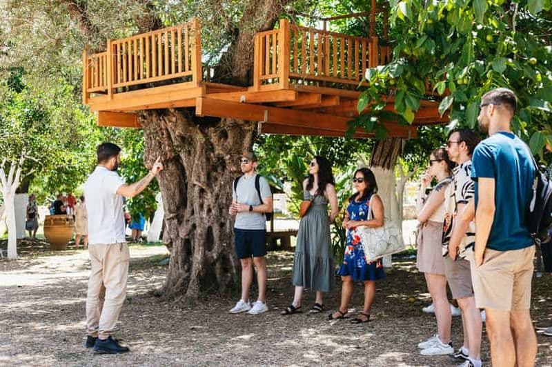 Au départ de La Canée : dégustation de vin et d'huile d'olive avec collations