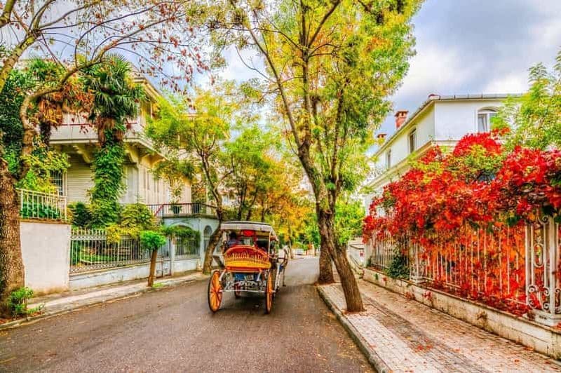 Istanbul : croisière aux îles des Princes avec déjeuner et guide