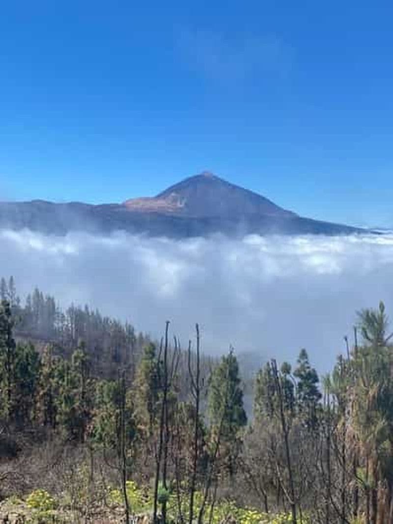 Excursion au Teide et au parc rural d'Anaga