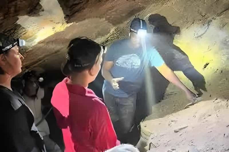 Billet Visite de la mine de tanzanite avec musée et atelier