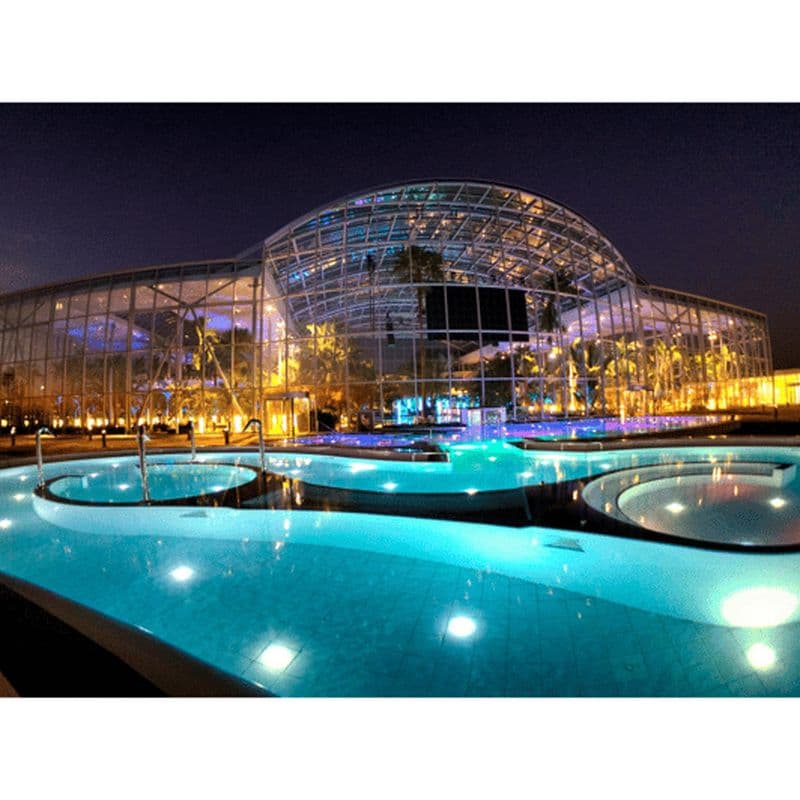Bucarest : Therme (transfert + billet de 4,5 heures pour Galaxy+Palm)