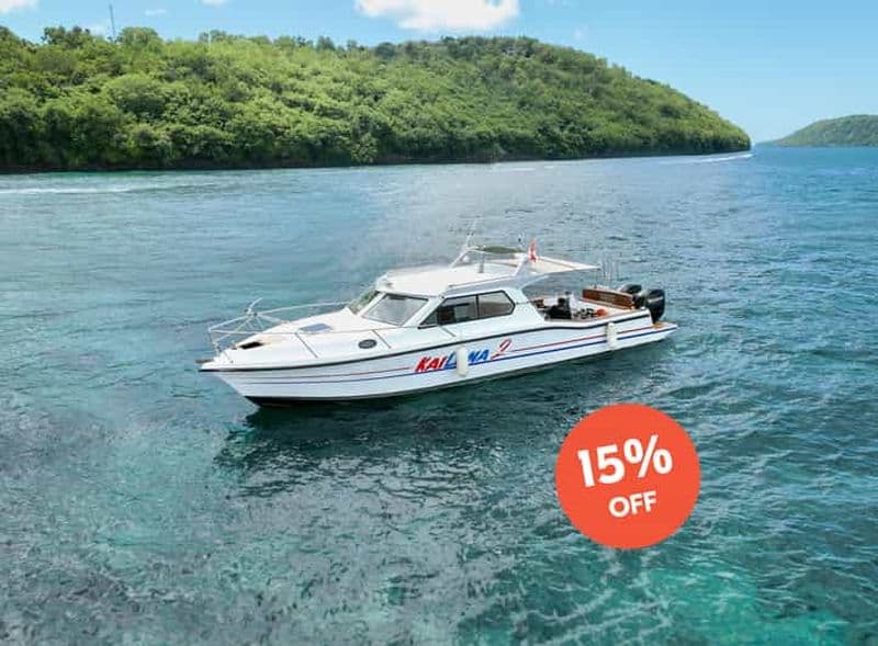 Billet Depuis Bali : croisière et plongée avec raies mantas à Nusa Penida