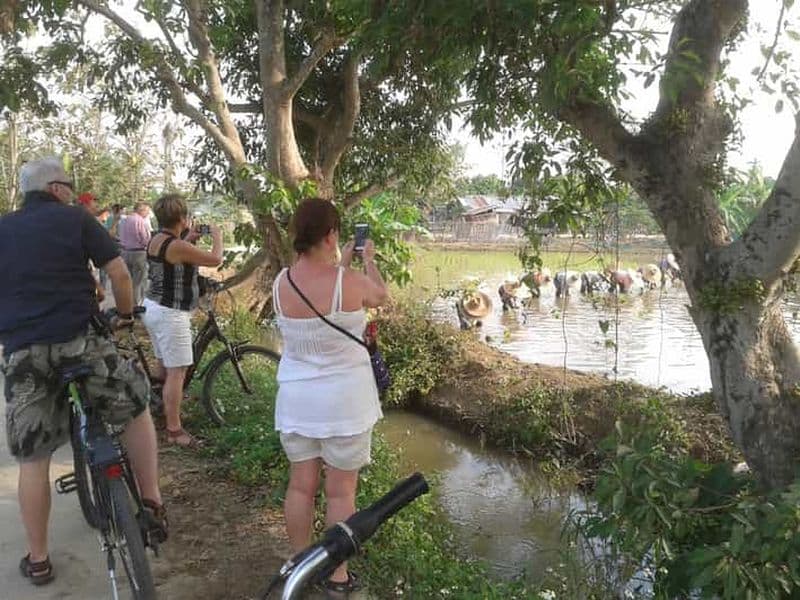 Visite guidée à vélo des couleurs de Chiang Mai