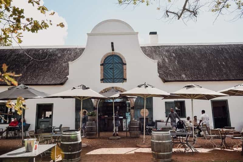 Le Cap : Vallée viticole de Constantia, Kirstenbosch et visite des jardins