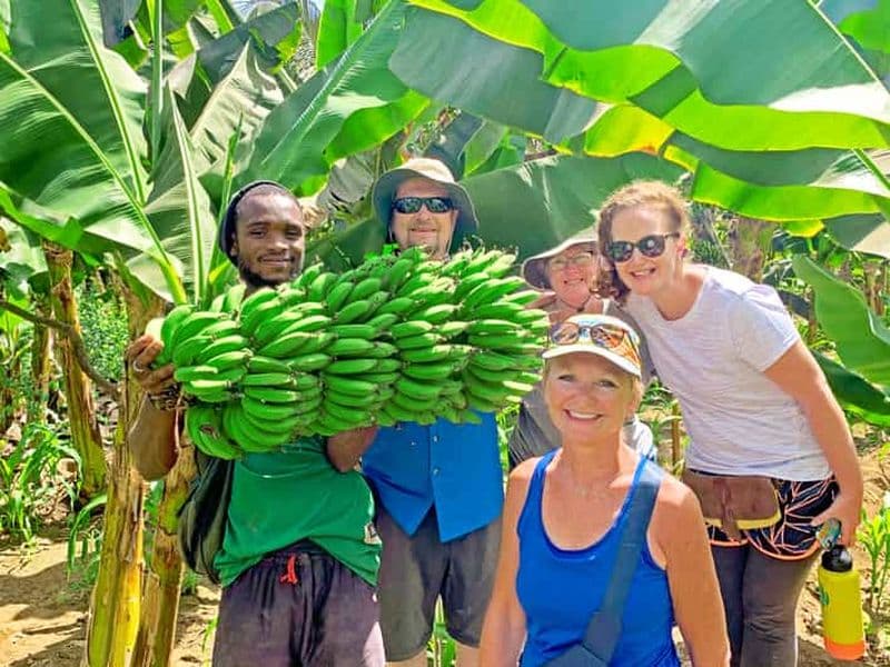 Billet Depuis Praia : Visite de la plantation de bananes et atelier de Cuscuz.