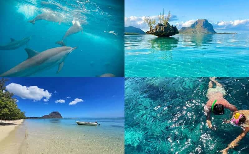 Maurice : île Benitier - Nager avec les dauphins - Bateau à moteur et barbecue