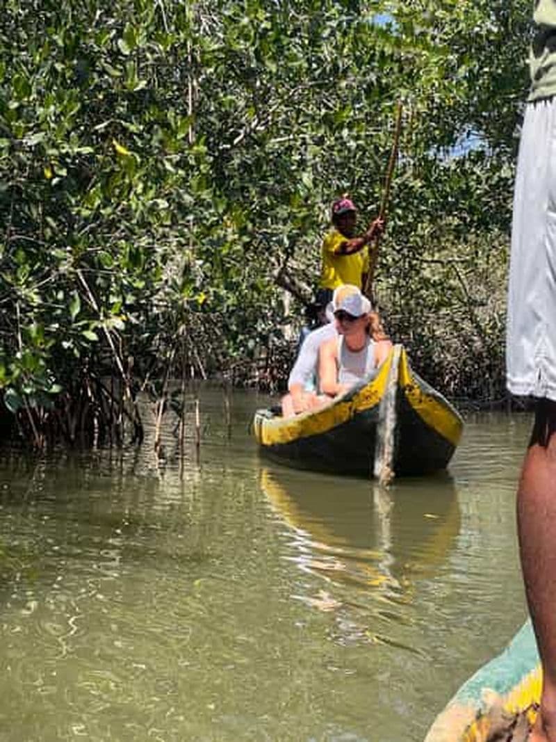 Billet Cartagena Pêche autochtone dans les mangroves