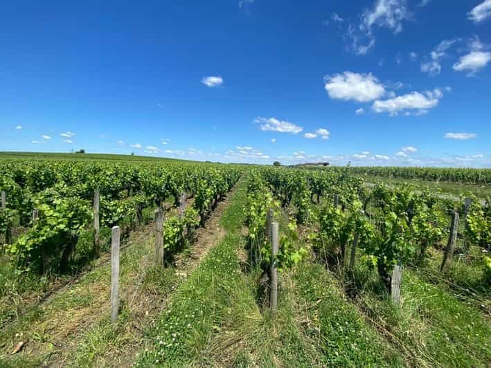 Billet Visite d'une jounée à Saint Emilion et Margaux
