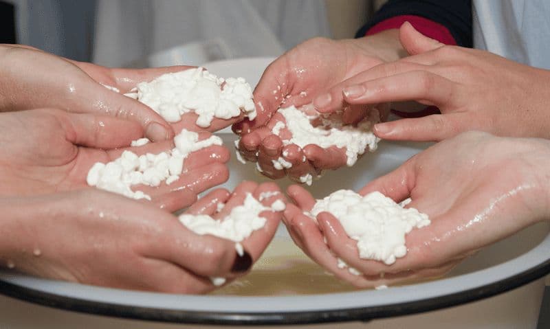 Atelier de fabrication de fromage avec un habitant de la région et ramenez votre fromage à la maison !
