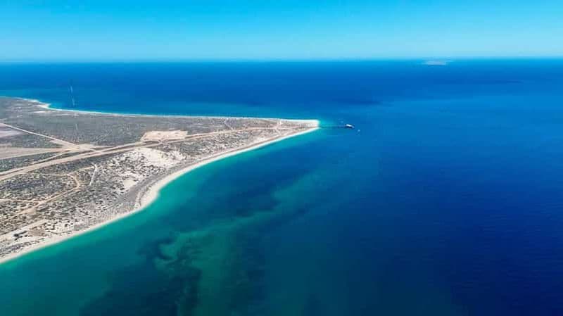 Billet Ningaloo Exmouth : Plongée en apnée et éco-tourisme avec les raies manta et les tortues