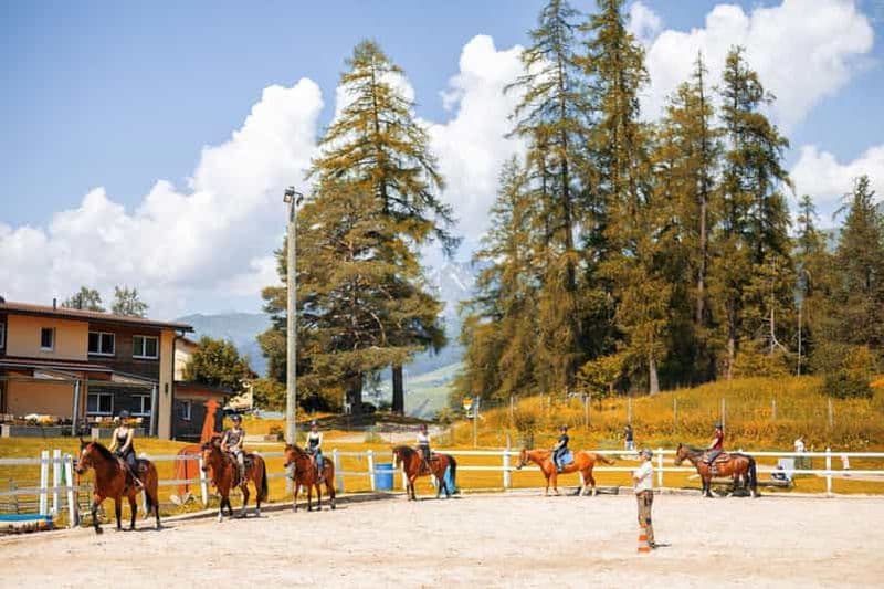 Cours d'équitation western avec Julie Hossmann
