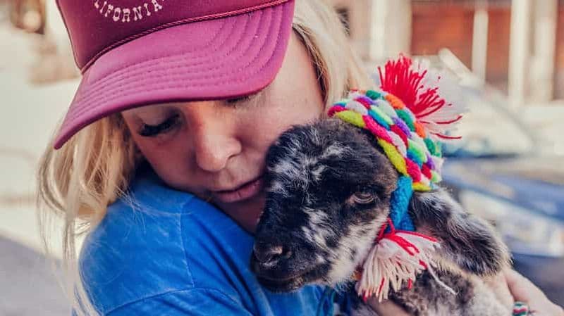 PISAQ : 1 JOURNÉE DE YOGA DE L'ALPAGA ET D'EXPÉRIENCE À LA FERME DES LAMAS À PISAQ.