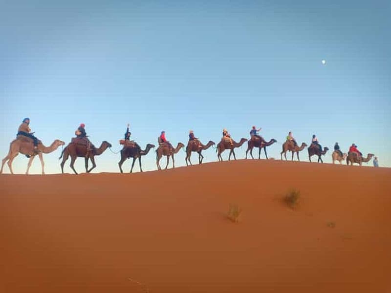 Billet Au départ de Marrakech : Circuit de 3 jours et 2 nuits dans le désert du Sahara à Fès