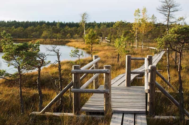 Billet Depuis Riga : Parc national de Kemeri et visite de Kuldiga