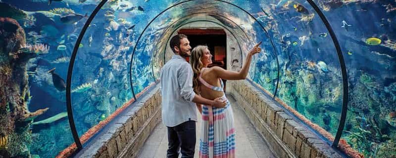 Las Vegas: billet d'entrée à l'aquarium Shark Reef et à l'expérience VR