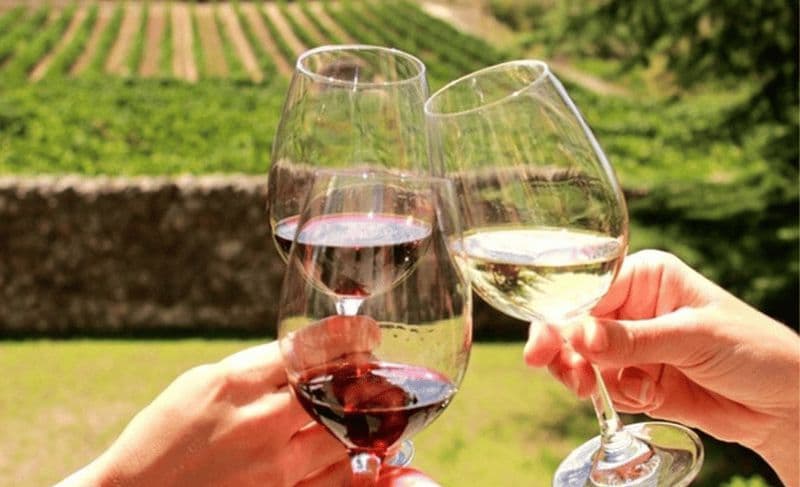 Stellenbosch : visite d'une demi-journée à la découverte du vin