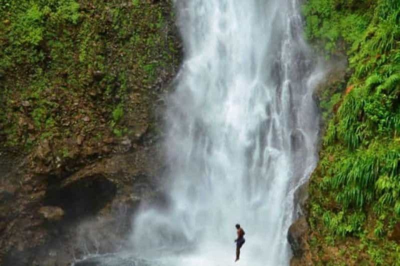 Billet Roseau : Excursion guidée d'une journée vers des chutes d'eau populaires