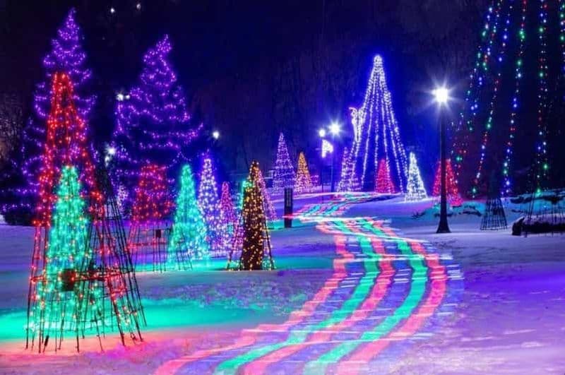 Billet Depuis Toronto : Visite du Festival des lumières d'hiver des chutes du Niagara