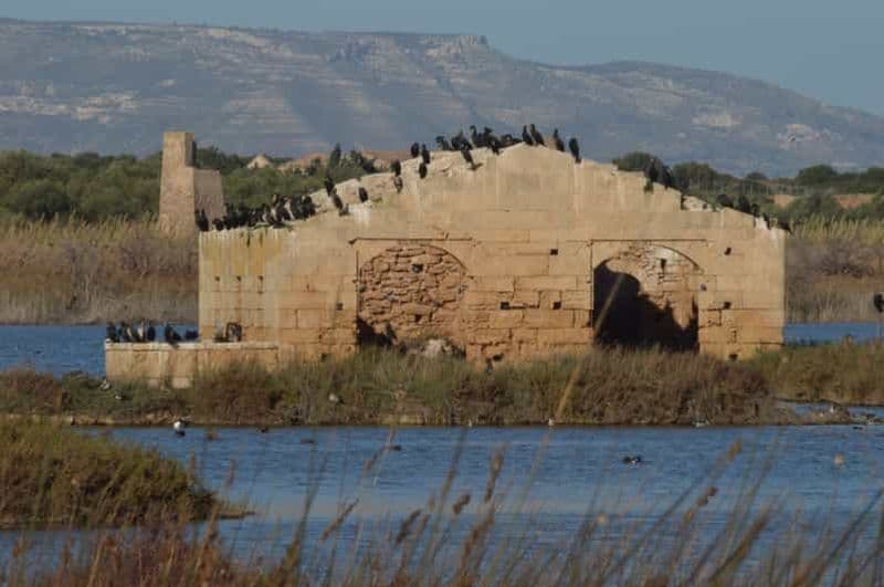 Billet Catane : Excursion d'une journée à Vendicari, Marzamemi et Noto