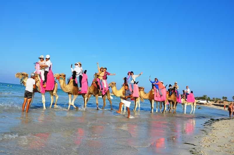 Balade à dos de chameau et à cheval à Djerba : profitez du coucher de soleil dans le lagon bleu.