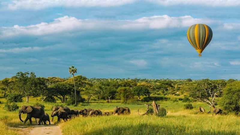 Billet Tarangire : safari en montgolfière et petit-déjeuner dans la brousse