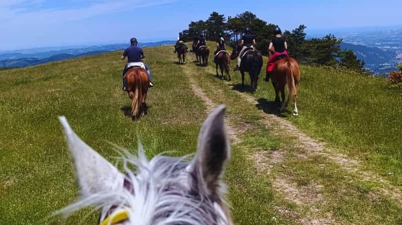 Urbino : Promenade à cheval de 2 heures dans la Réserve Naturelle de Furlo