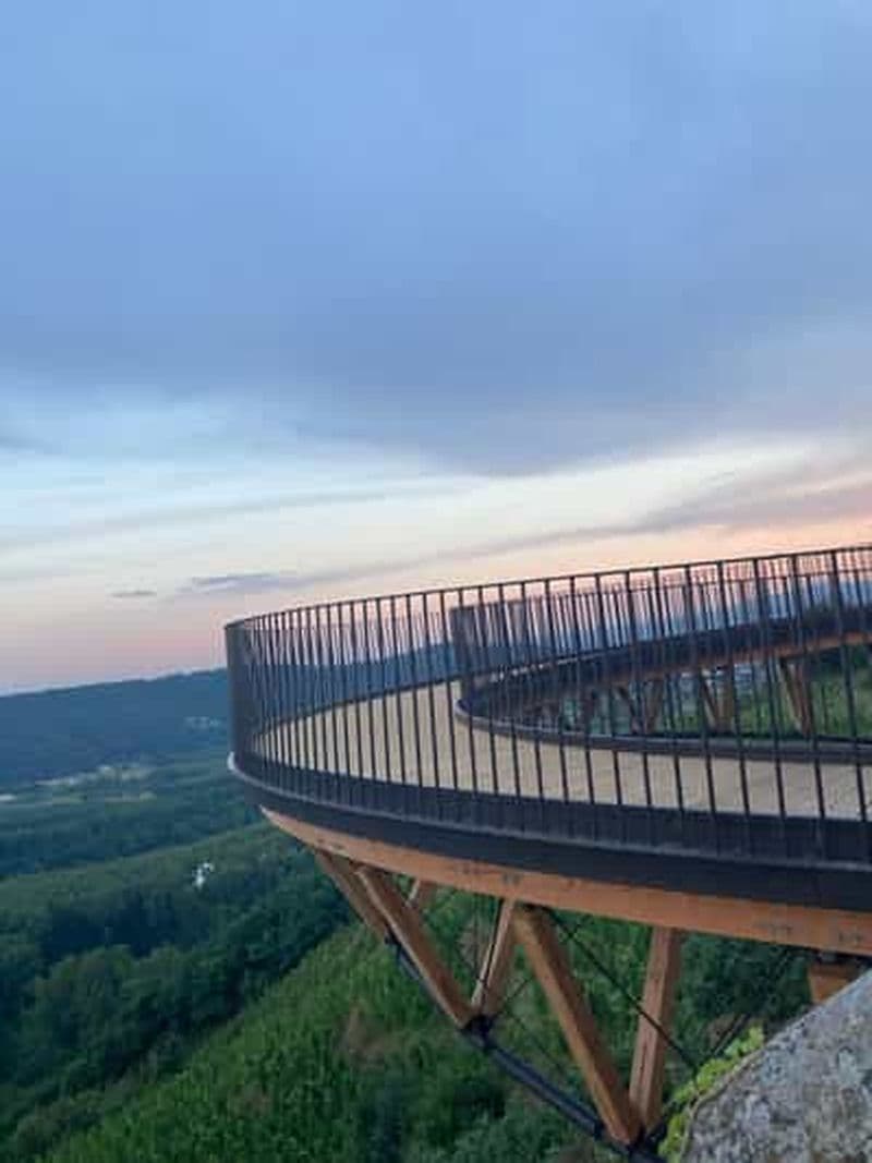 Billet Visite des vignobles de la Côte-Rôtie avec apéritif
