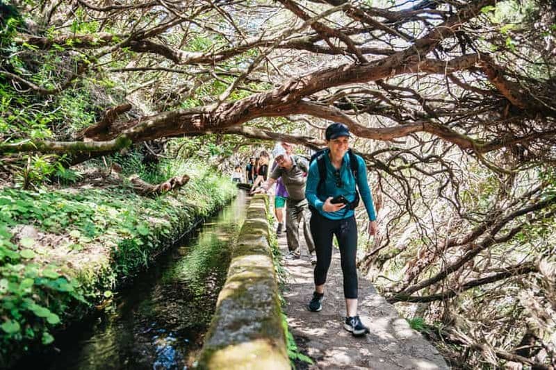 Madère : promenade guidée dans la vallée de Rabaçal