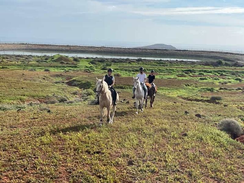 1 heure d'équitation relaxante à Gran Canaria