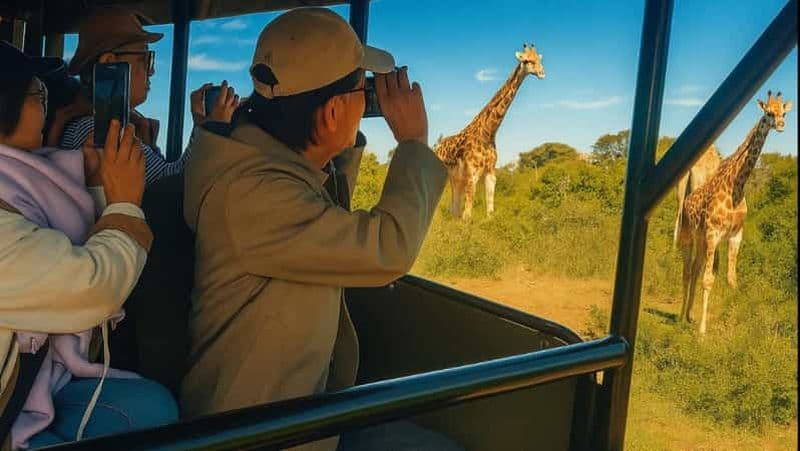 Billet Port Elizabeth : Circuit de 5 jours sur la Route des Jardins jusqu'au Cap