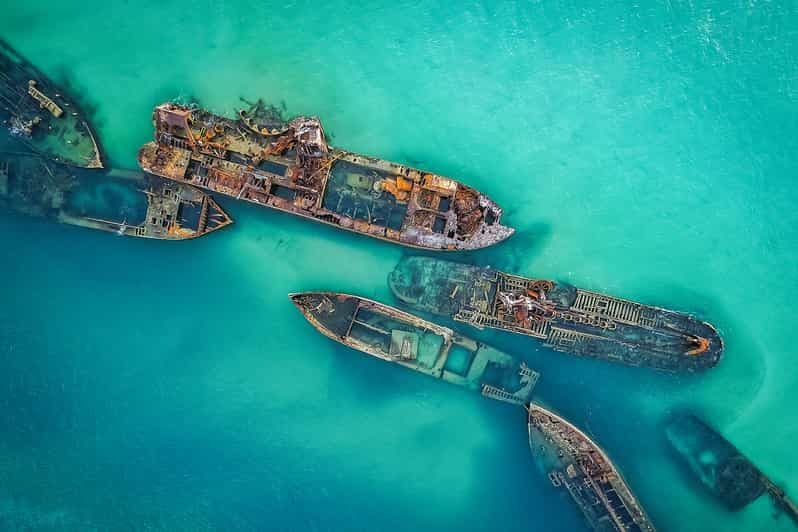 Brisbane : billet aller-retour en ferry pour l'île Moreton et pass aventure d'une journée