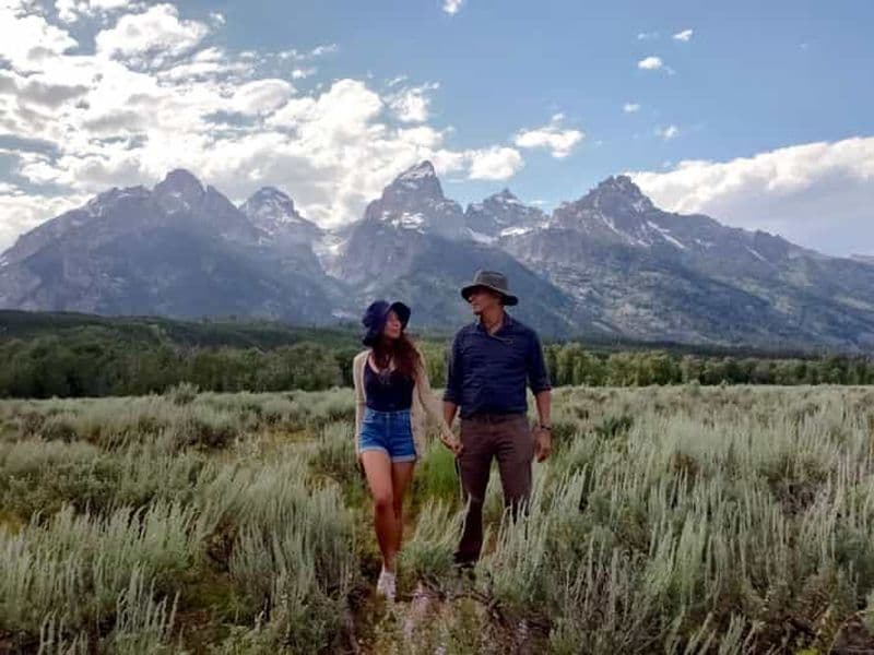 Billet De Jackson: visite de la faune et des paysages de Grand Teton avec déjeuner