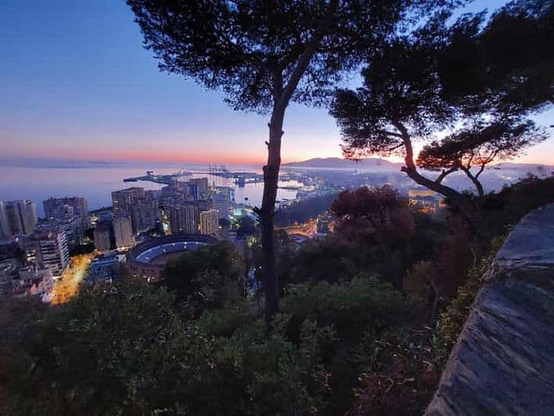 Billet Visite nocturne romantique de Malaga en voiture électrique