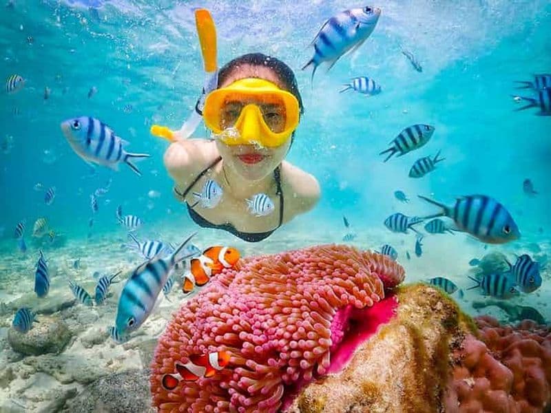 Snorkeling et Détente : Excursion à l'Île de Nemo depuis Pattaya
