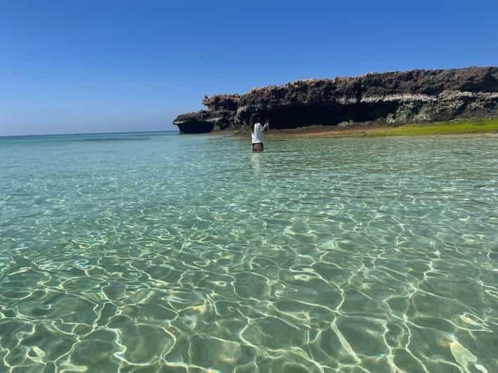 Billet Muscat : Observation des dauphins et plongée en apnée