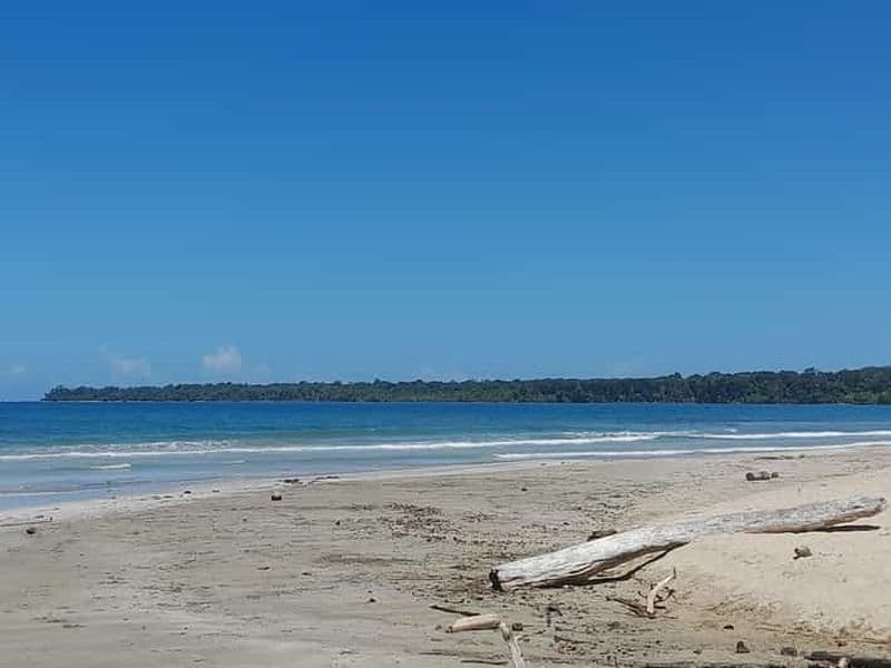 Billet Parc national de Cahuita : visite guidée avec Pablo